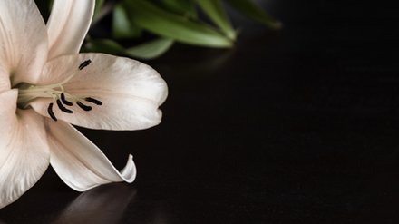 Begräbniskostenvorsorge Versicherung Begräbniskostenvorsorge Versicherung