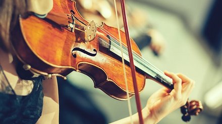 Symbolbild Musikinstrumentenversicherung. Bild zeigt die Nahaufnahme einer Geige.