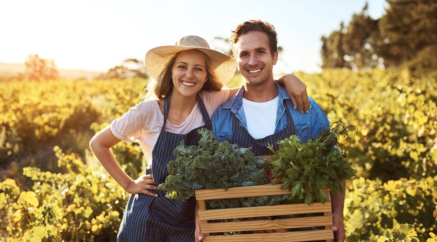 Zwei Landwirte gehen einen Feldweg entlang, während die Sonne untergeht.
