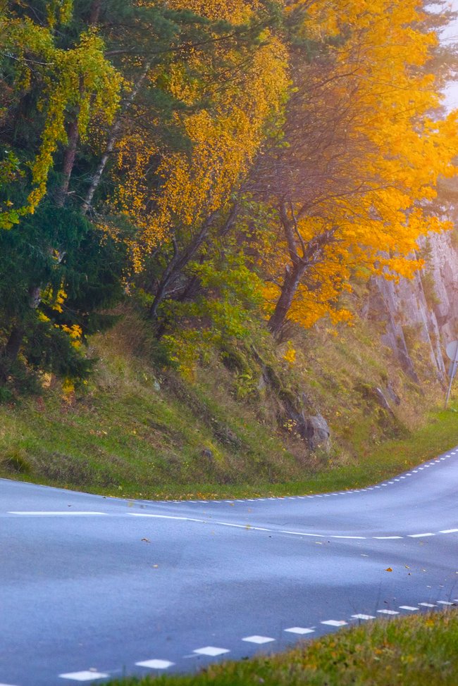 Autofahren im Herbst Mikael Damkier/Shutterstock.com