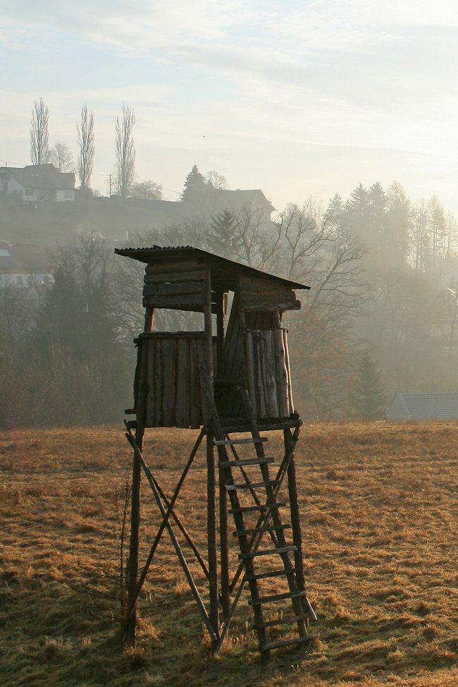 Hochstand auf einem Feld