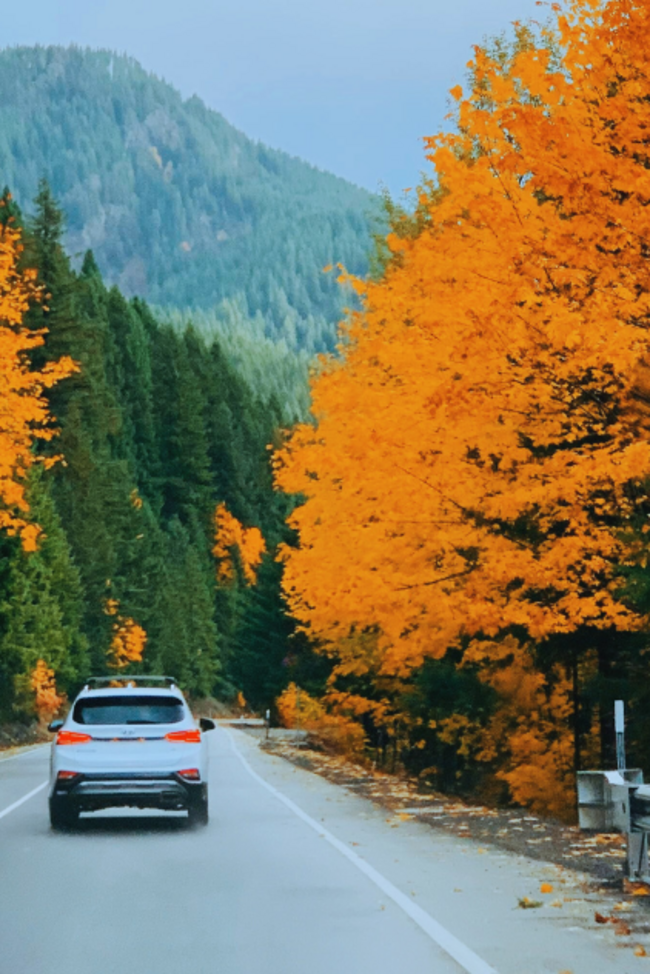 Autofahrt im Herbst Auto fährt im Herbst an bunten Bäumen vorbei