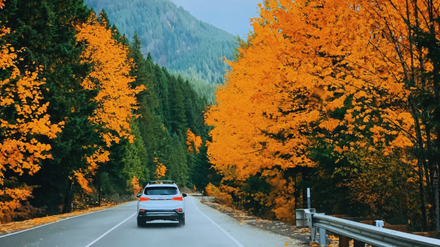 Autofahrt im Herbst Auto fährt im Herbst an bunten Bäumen vorbei