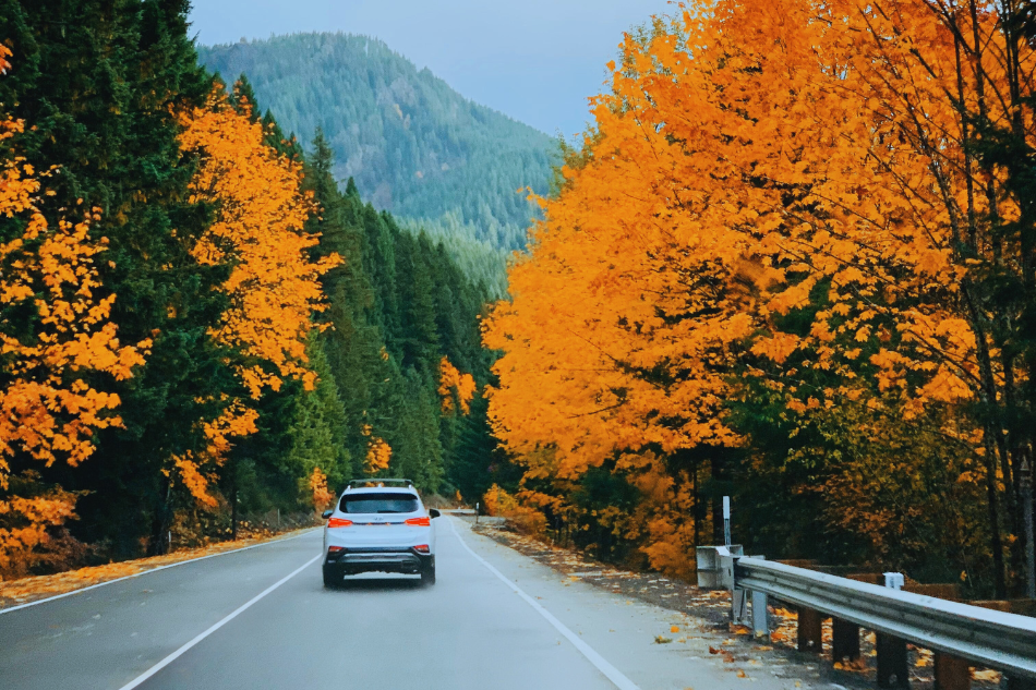 Autofahrt im Herbst Auto fährt im Herbst an bunten Bäumen vorbei
