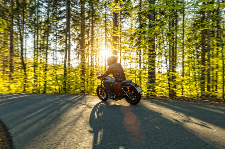 Motorrad Sonne Wald